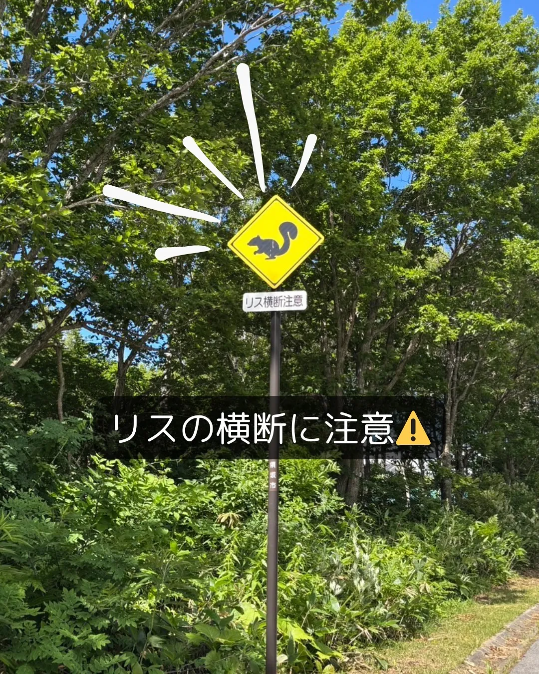 アクセス方法のご案内です