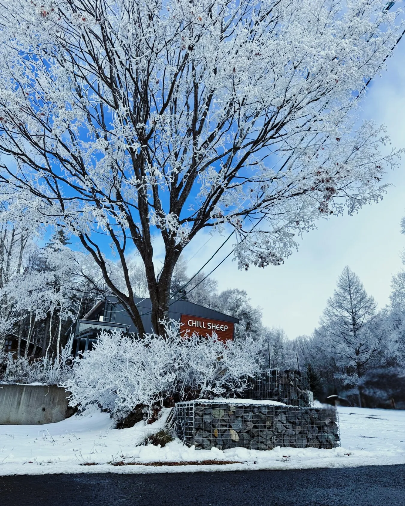 【年末のご挨拶】